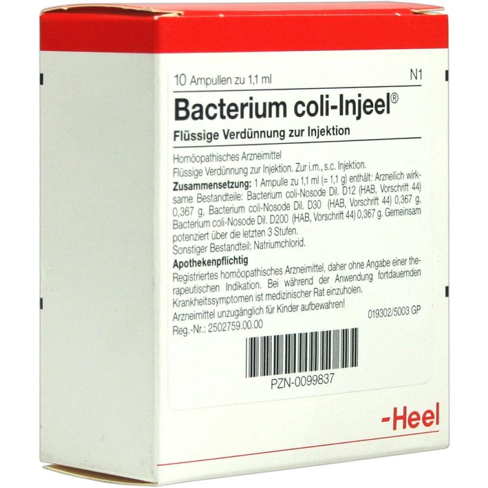 Bacterium COLI Injeel Ampullen, 10 St.