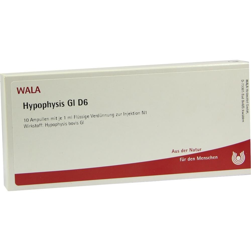 Hypophysis GL D 6 Ampullen, 10 x 1 ml
