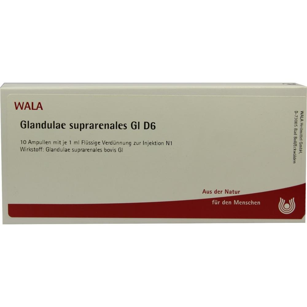 Glandulae Suprarenales GL D 6 Ampullen, 10 x 1 ml