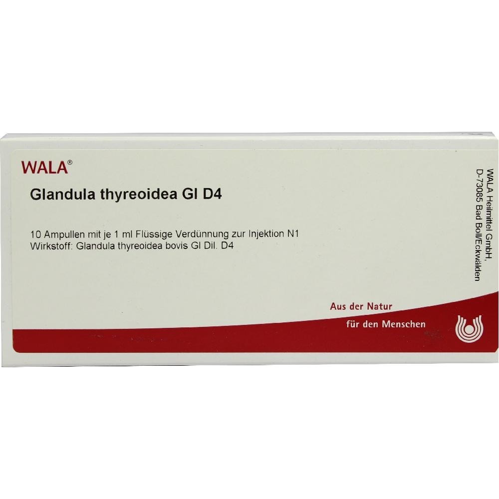 Glandula Thyreoidea GL D 4 Ampullen, 10 x 1 ml