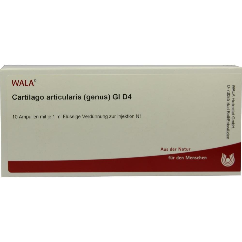 Cartilago Articularis Genus GL D 4 Ampul, 10 x 1 ml