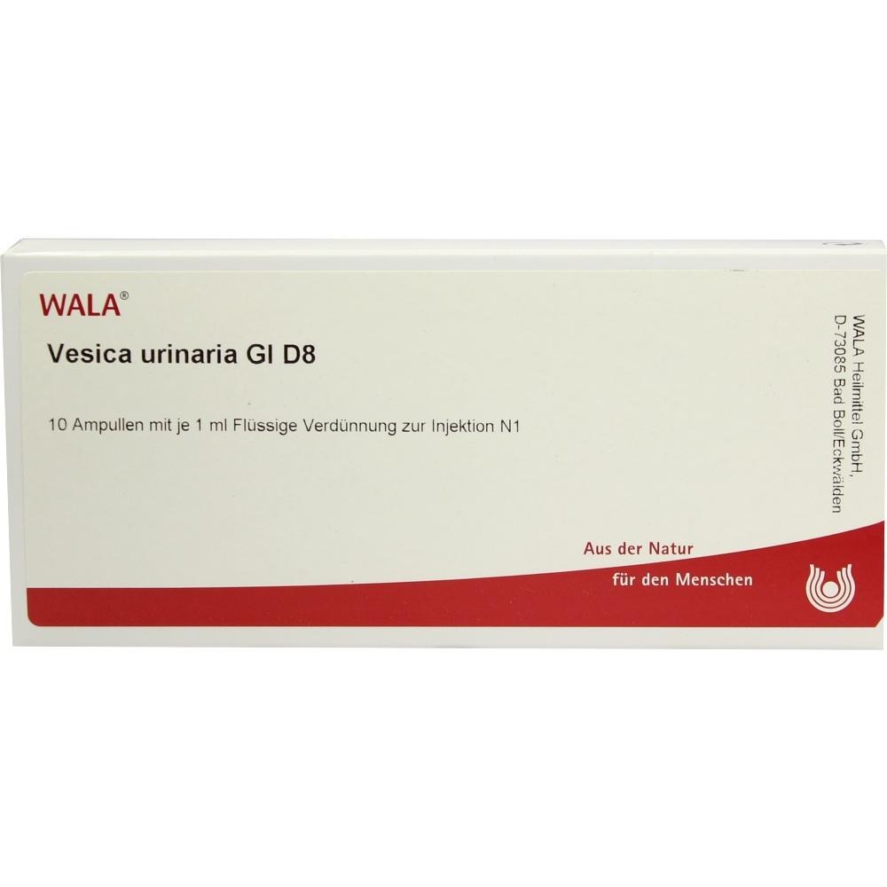 Vesica Urinaria GL D 8 Ampullen, 10 x 1 ml