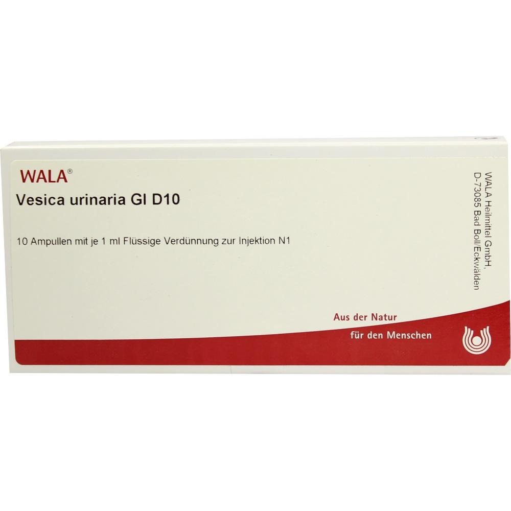 Vesica Urinaria GL D 10 Ampullen, 10 x 1 ml