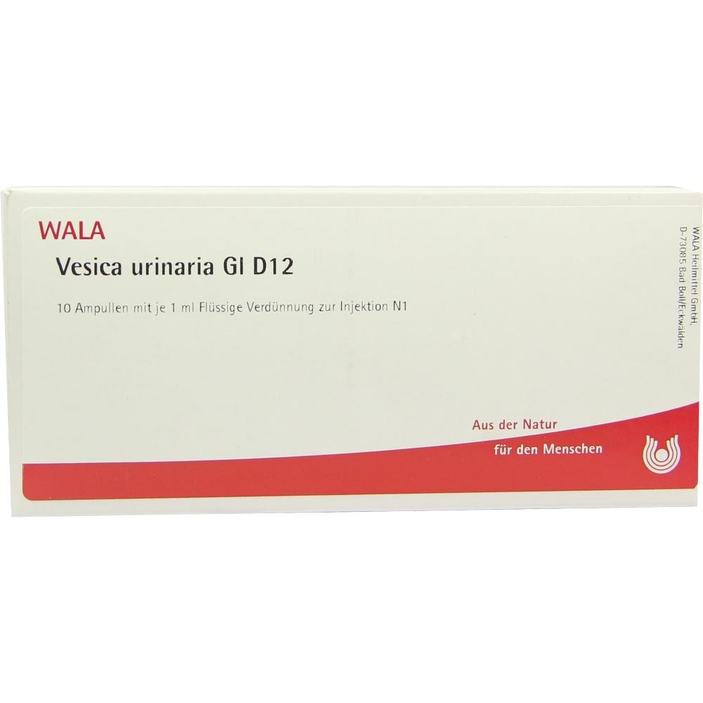 Vesica Urinaria GL D 12 Ampullen, 10 x 1 ml