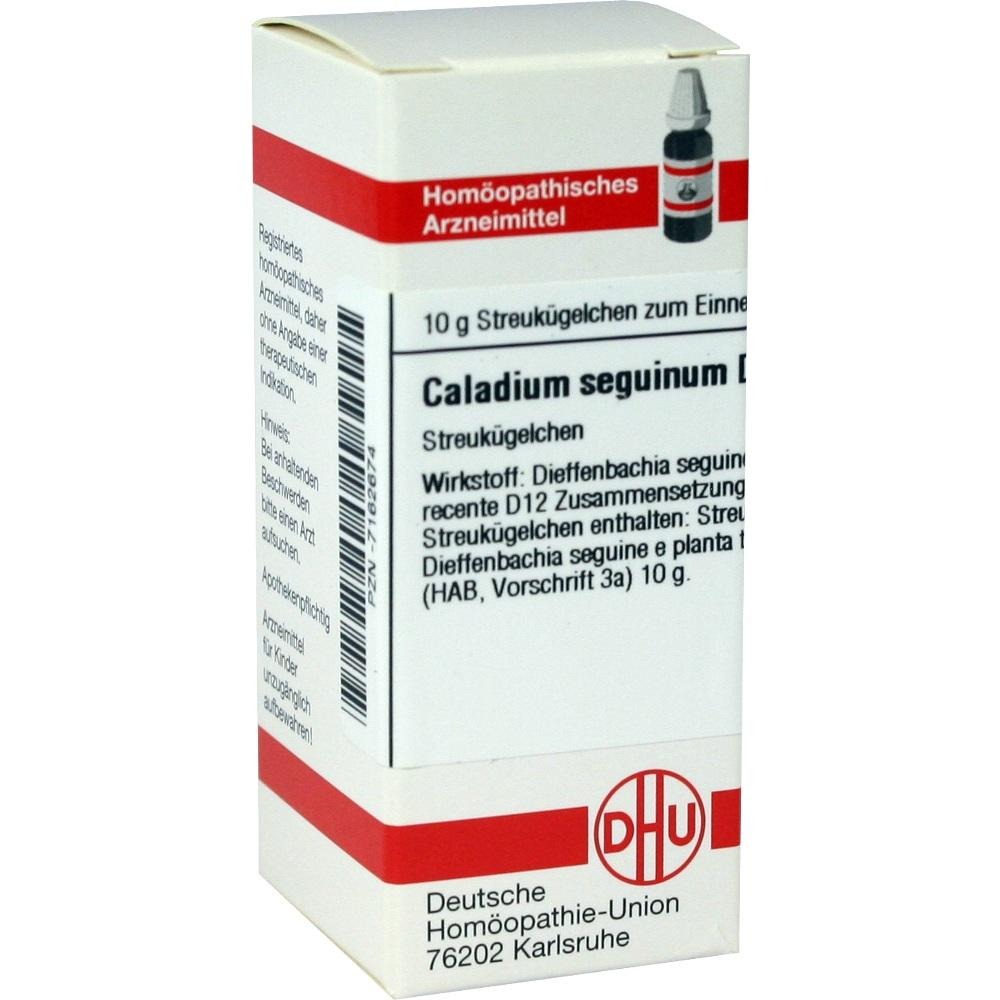 Caladium Seguinum D 12 Globuli, 10 g