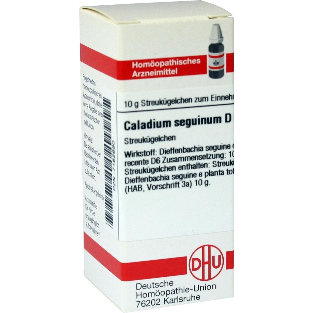 Caladium Seguinum D 6 Globuli, 10 g