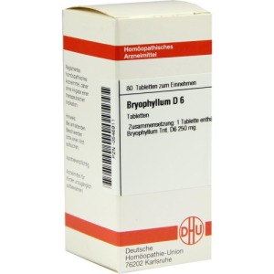 Bryophyllum D 6 Tabletten, 80 St.