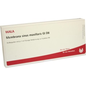 Membrana Sinus Maxillaris GL D 8 Ampulle 10X1 ml