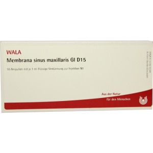Membrana Sinus Maxillaris GL D 15 Ampull 10X1 ml