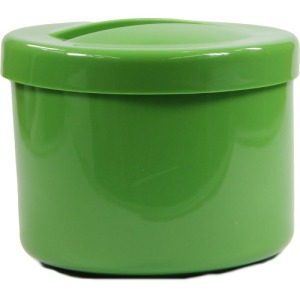 Prothesenbehälter mit Deckel und Einsatz grün 1 St