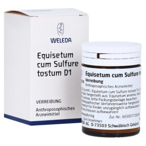 Abbildung: Equisetum CUM Sulfure tostum D 1 Tritura, 20 g