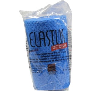 Abbildung: Elastus Active Bandage 10 cmx4,6 m, 1 St.