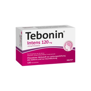 Abbildung: Tebonin intens 120 mg, 120 St.