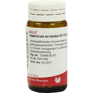 Hypericum EX Herba D 6 Globuli 20 g