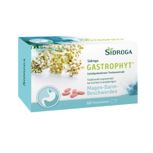Sidroga Gastrophyt 250 mg Filmtabletten 60 St
