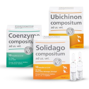 Solidago+ Ubichinon+ Coenzyme ad us vet 1 Set