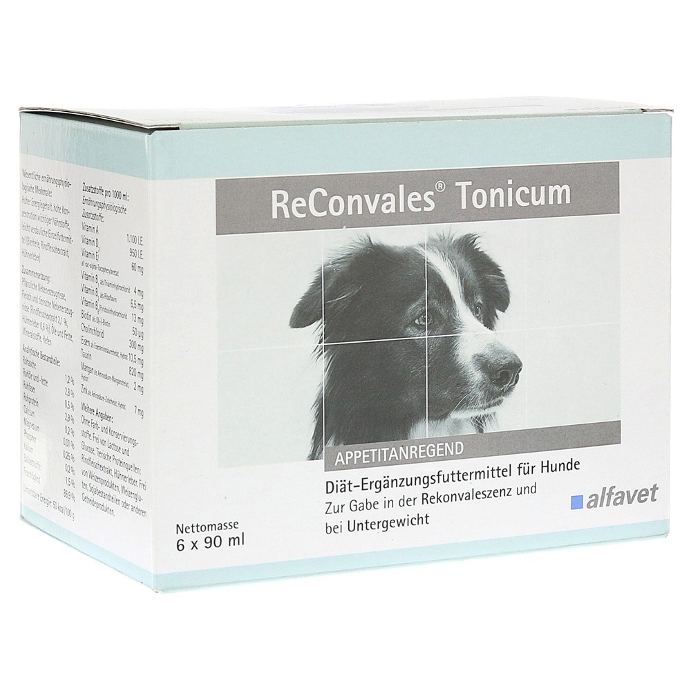 Reconvales Tonicum für Hunde 540 ml