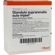 Produktabbildung: Glandula Suprarenalis suis Injeel Ampull