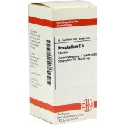 Produktabbildung: Bryophyllum D 6 Tabletten