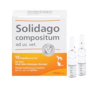 Produktabbildung: Solidago Compositum ad us.vet.Ampullen