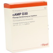 Produktabbildung: CAMP D 30 Ampullen