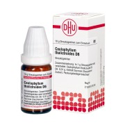 Produktabbildung: Caulophyllum Thalictroides D 6 Globuli