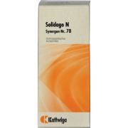 Produktabbildung: Synergon Komplex 78 Solidago N Tropfen 50 ml