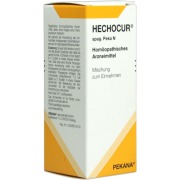 Produktabbildung: Hechocur Spag.peka N Tropfen 50 ml