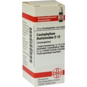 Produktabbildung: Caulophyllum Thalictroides D 12 Globuli 10 g