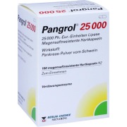 Produktabbildung: Pangrol 25.000 100 St
