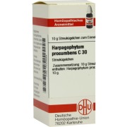 Produktabbildung: Harpagophytum Procumbens C 30 Globuli 10 g